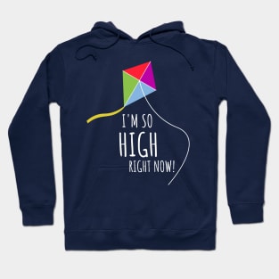Im so high right now Hoodie